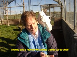 25.3 Shirley and a parrot Fife animal centre 22-10-2008